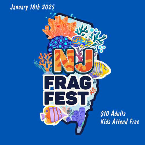 NJ Frag Fest